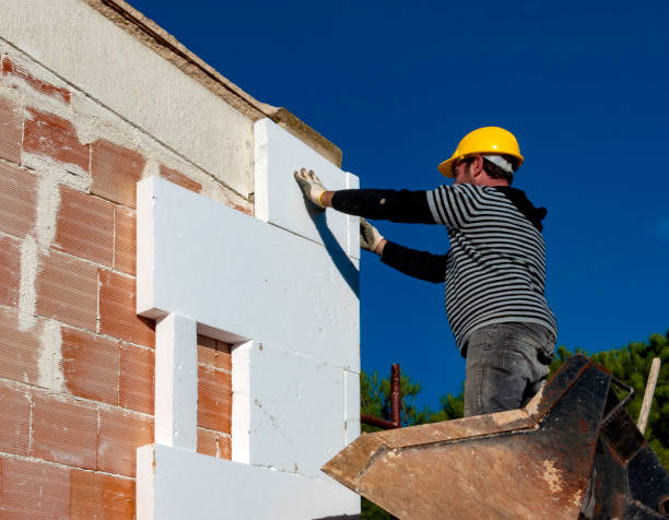 Best Eco-Friendly Insulation in Lewiston, MN